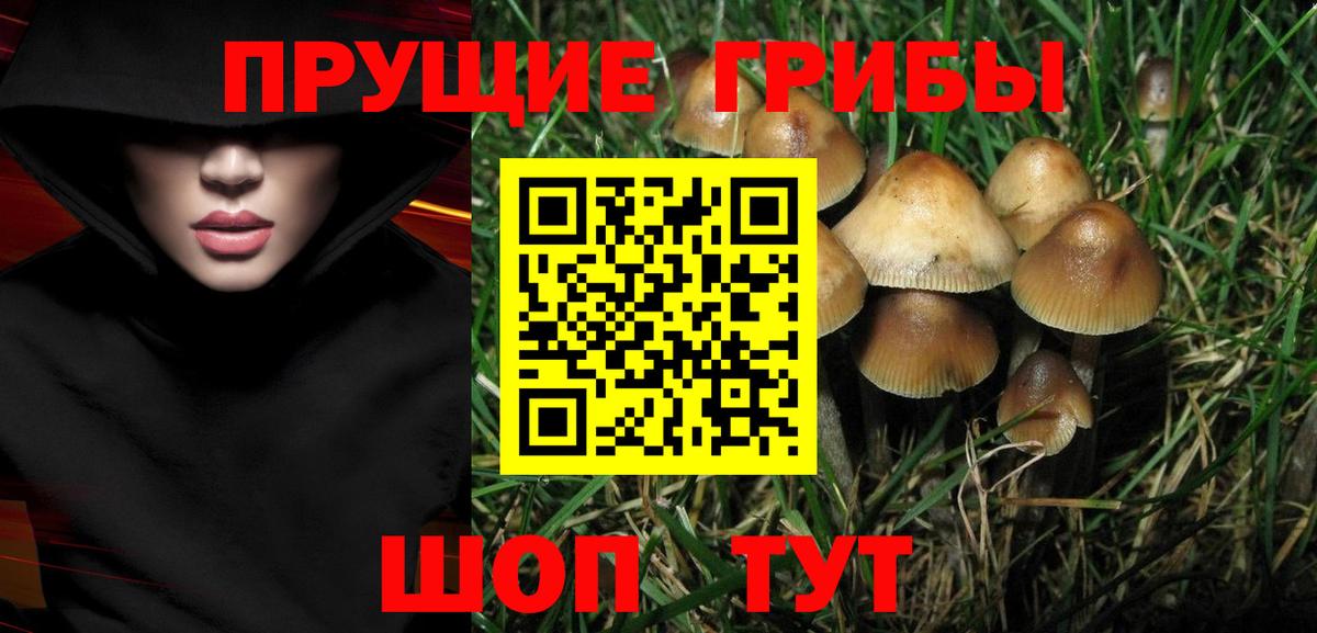 Псилоцибиновые грибы ЛСД Солнечногорск