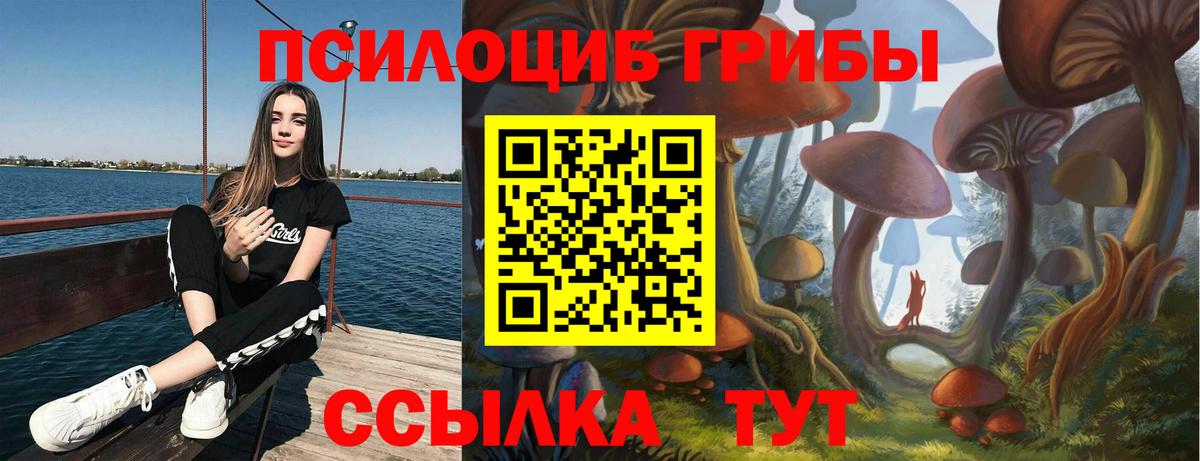 Солнечногорск  Галлюциногенные грибы мухоморы  Вход с VPN  как найти наркотики  Галлюциногенные грибы Psilocybine cubensis 